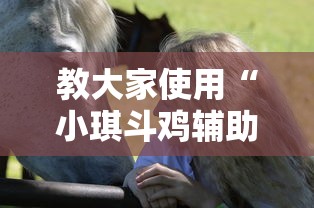 教大家使用“小琪斗鸡辅助工具”详细开挂方法