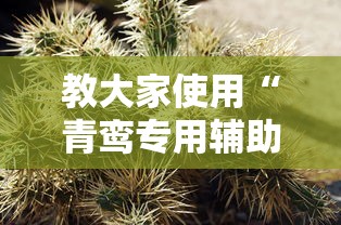 教大家使用“青鸾专用辅助器”可以辅助