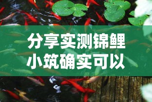 分享实测锦鲤小筑确实可以开挂2026用挂 分享实测锦鲤小筑确实可以开挂2026用挂