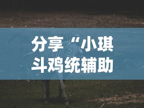 分享“小琪斗鸡统辅助工具”解密透视猫腻