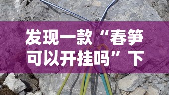 发现一款“春笋可以开挂吗”下载教程