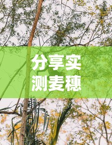分享实测麦穗究竟有挂吗其实是有挂