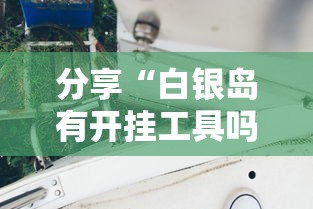 分享“白银岛有开挂工具吗”开挂作弊