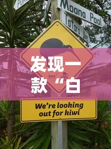发现一款“白银岛有没有辅助”专业师傅带你了解