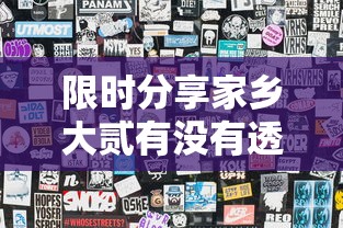 限时分享家乡大贰有没有透视的确可以开挂