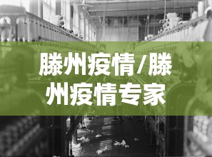 滕州疫情/滕州疫情专家 滕州疫情/滕州疫情专家