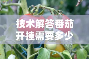 玩家必看“三湘有什么挂	”开挂方法