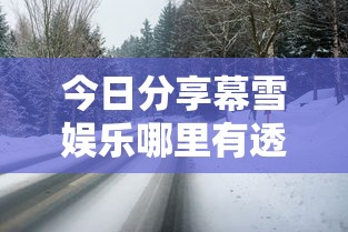 必备科技“壹起跑得快辅助挂”事实上确实有挂
