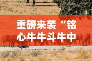重大资讯“壹起跑得快有开挂工具吗”事实上确实有挂