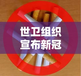 每日科技“小程序财神十三张有没有挂呢”(详细辅助脚本)