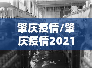 肇庆疫情/肇庆疫情2021