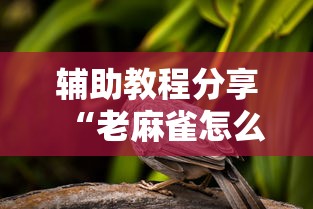 今日重大消息“美杜莎 是不是有挂其实可以装挂 今日重大消息“美杜莎 是不是有挂其实可以装挂