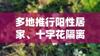【广州12例本土无症状感染者详情,广州新增10例阳性感染者】