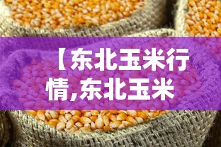 推荐一款“狂欢夏威夷 透视专用神器	”确实真的有挂