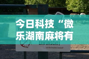 今日科技“微乐湖南麻将有没有辅助”真可以装挂