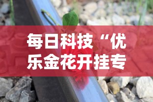 每日科技“优乐金花开挂专用辅助器”详细开挂教材