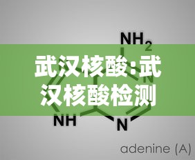 武汉核酸:武汉核酸检测存量清零