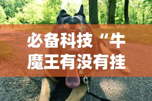 必备科技“牛魔王有没有挂的确有挂	”(其实有挂)