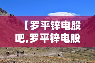 科普实测“十三张通用有挂没”专业师傅带你了解