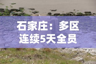 石家庄:多区连续5天全员核检/石家庄没事 石家庄:多区连续5天全员核检/石家庄没事