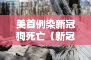 了解科技“欢乐十三水有没有挂呢”(详细辅助脚本)