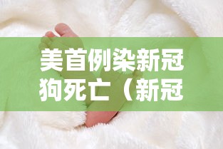 推荐一款“方片十三张有没有人开挂”开挂方法