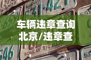 车辆违章查询北京/违章查询 北京 车辆违章查询北京/违章查询 北京