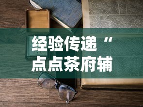 经验传递“点点茶府辅助工具”开挂详细教程