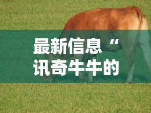 辅助教程分享“小程序微乐四川麻将有没有透视挂	”可以透视