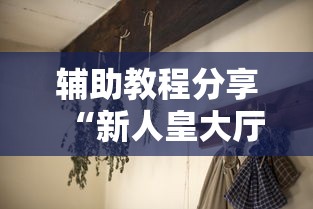 辅助教程分享“新人皇大厅 真的有透视挂吗	”开挂方法