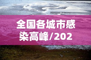 重磅来袭“福建兄弟十三水有挂吗真的有挂”确实是有挂的