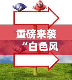 重磅来袭“白色风车辅助器”确实真的有挂