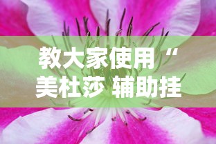 教大家使用“美杜莎 辅助挂	”下载教程