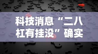 科技消息“二八杠有挂没”确实有挂