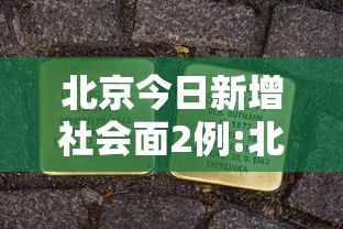 实测“白金岛跑胡子透视神器	”玩家必备神器
