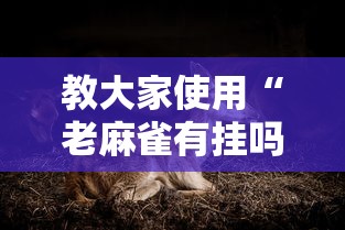 教大家使用“老麻雀有挂吗确实有挂”其实有挂