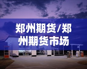 郑州期货/郑州期货市场