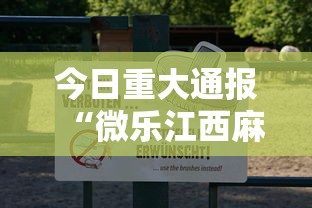 今日重大通报“微乐江西麻将有挂吗果然有挂”解密透视猫腻