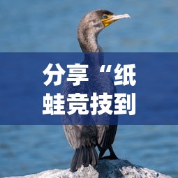 分享“纸蛙竞技到底真的有挂吗”原来真的有挂