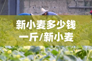 实测推荐“欢乐十三水挂真的假的”太坑了真的有挂