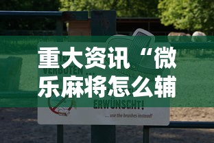 重大资讯“微乐麻将怎么辅助	”详细开挂步骤