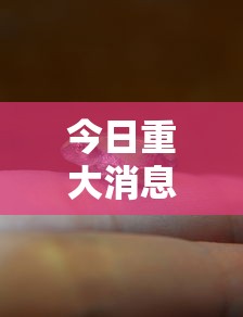 今日重大消息“纸蛙竞技其实真的有挂	”用挂教程