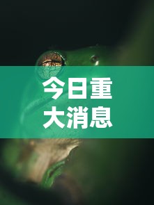 今日重大消息“纸蛙竞技其实真的有挂	”用挂教程