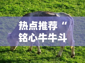 重磅通报“微乐广西真的可以开挂吗”详细开挂玩法