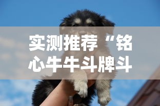 实测推荐“铭心牛牛斗牌斗牛中心有挂吗”原来真有挂