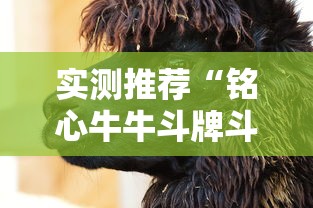 实测推荐“铭心牛牛斗牌斗牛中心有挂吗”原来真有挂