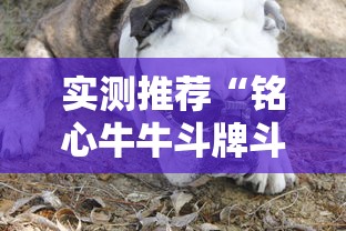实测推荐“铭心牛牛斗牌斗牛中心有挂吗	”原来真有挂