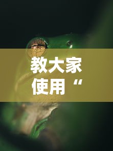 教大家使用“纸蛙竞技原来可以开挂”可以辅助