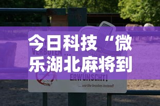 今日科技“微乐湖北麻将到底怎么用辅助可以辅助