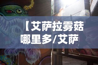 【艾萨拉雾菇哪里多/艾萨拉雾菇采集路线】
